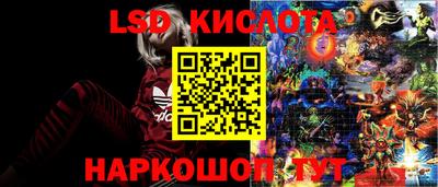 винт Аргун