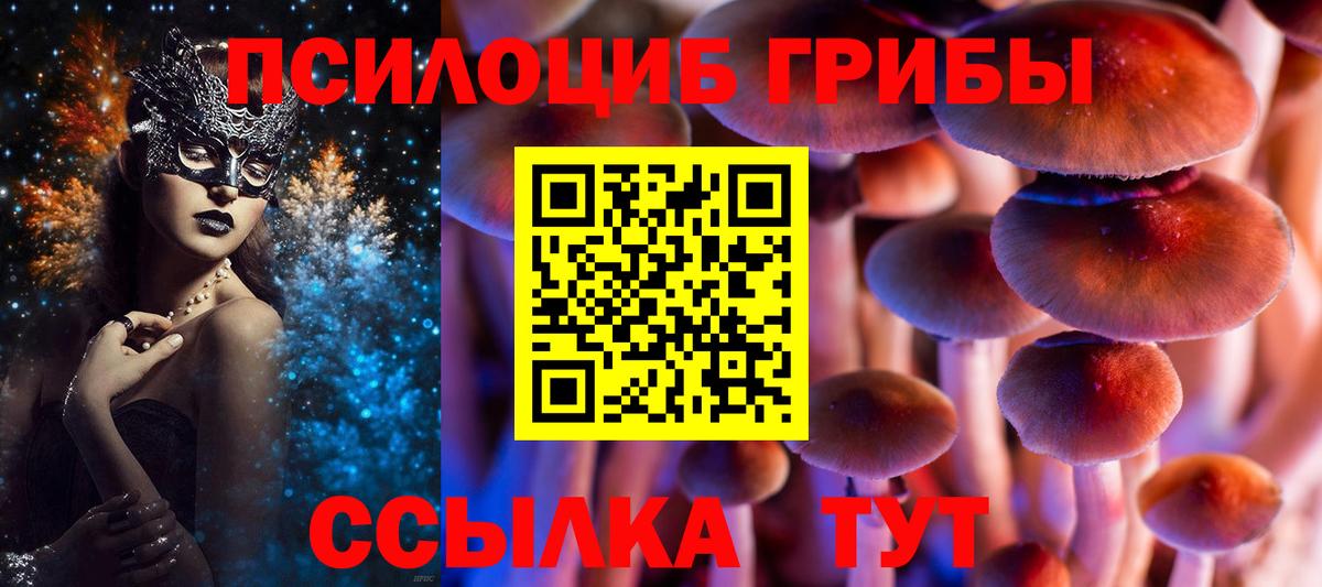 наркотики  Галлюциногенные грибы Magic Shrooms  Вход с VPN  Боровичи 